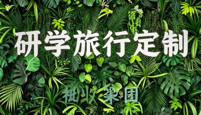 研学旅行定制在教育场景中的深度应用分析